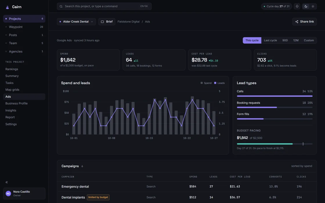 The Ads page for a project: spend, leads, cost per lead and clicks for the cycle, a chart of daily spend and leads, lead types, budget pacing and the campaigns table.